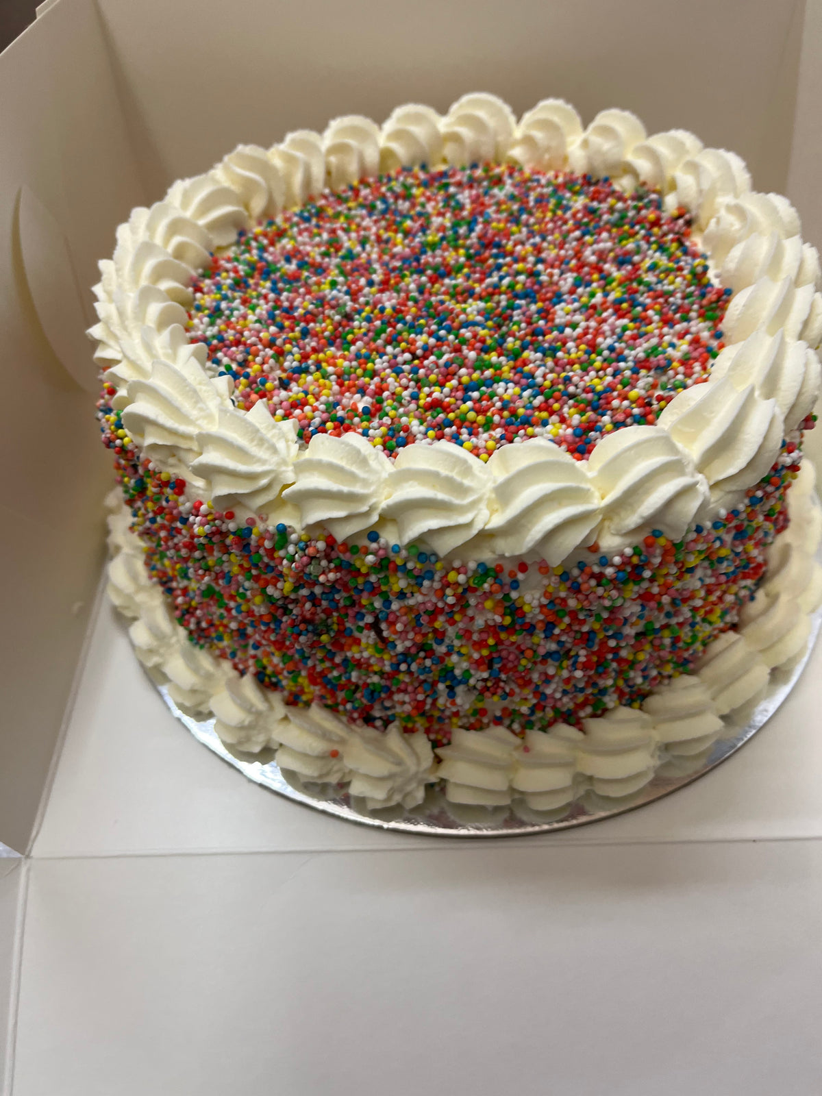 Birthday Cake (100x1000)
