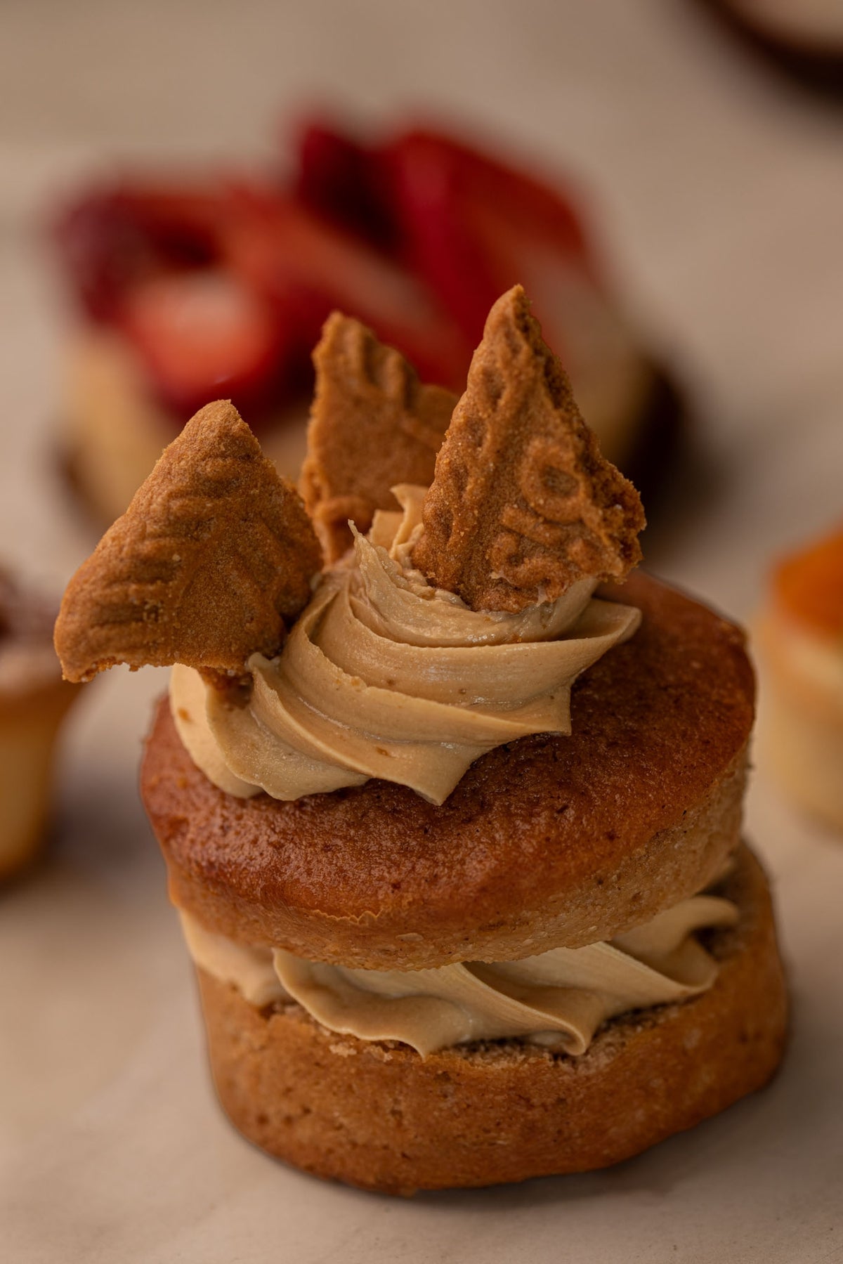 Vegan Biscoff Cake